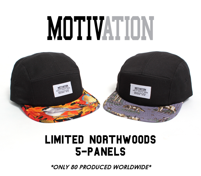 northwoods-limited-5panels-flyer