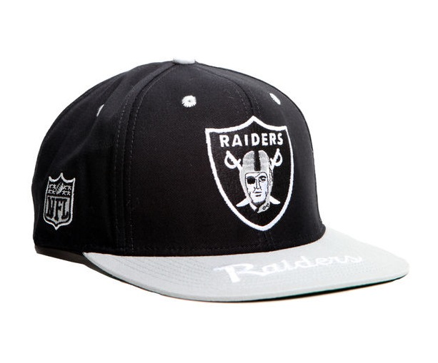 raider logo front